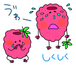 raspberries sticker #7187849