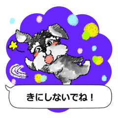 The dog which loves to talk