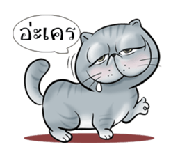 MEOW MEOW Gamo&Ceacar sticker #7188281