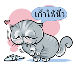 MEOW MEOW Gamo&Ceacar sticker #7188291