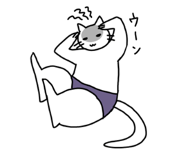 The cat wears underwear. sticker #7193662