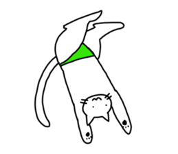 The cat wears underwear. sticker #7193671