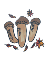 Mr,Euglena Ver7 Autumn version sticker #7194220