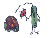 Mr,Euglena Ver7 Autumn version sticker #7194245
