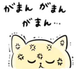 LOVELY PLAYFUL CAT sticker #7196277