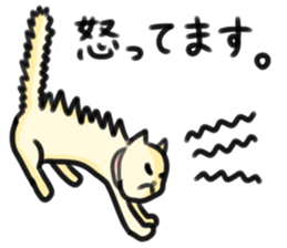 LOVELY PLAYFUL CAT sticker #7196280