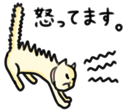 LOVELY PLAYFUL CAT sticker #7196280