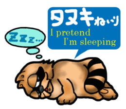 Daily bulging eyes raccoon dog sticker #7196656