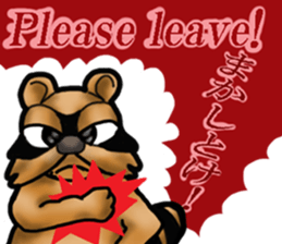 Daily bulging eyes raccoon dog sticker #7196681