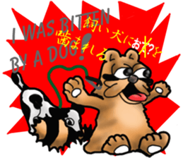 Daily bulging eyes raccoon dog sticker #7196689