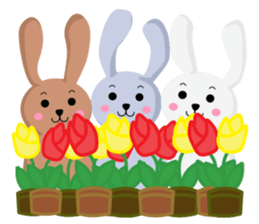 Rabbit brother Yuzu & Ume & Qabosu sticker #7198211