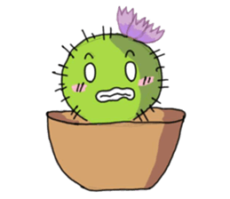 Cactus mini garden sticker #7201354
