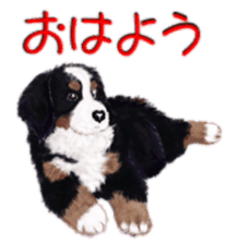 BERNESE MOUNTAIN DOG RIN Ver.3 sticker #7203739