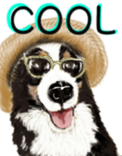 BERNESE MOUNTAIN DOG RIN Ver.3 sticker #7203742