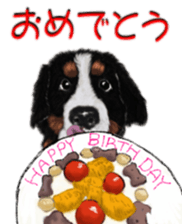 BERNESE MOUNTAIN DOG RIN Ver.3 sticker #7203744