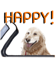 BERNESE MOUNTAIN DOG RIN Ver.3 sticker #7203751