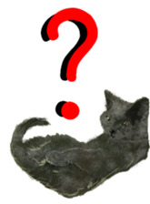 BERNESE MOUNTAIN DOG RIN Ver.3 sticker #7203755