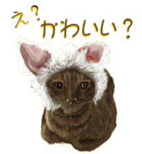 BERNESE MOUNTAIN DOG RIN Ver.3 sticker #7203757