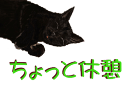 BERNESE MOUNTAIN DOG RIN Ver.3 sticker #7203759