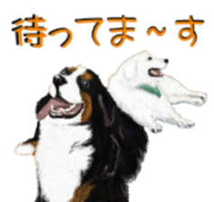 BERNESE MOUNTAIN DOG RIN Ver.3 sticker #7203764