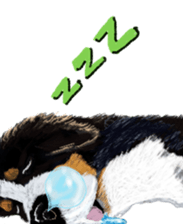 BERNESE MOUNTAIN DOG RIN Ver.3 sticker #7203765