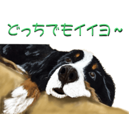 BERNESE MOUNTAIN DOG RIN Ver.3 sticker #7203768