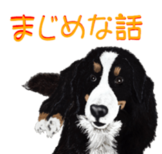 BERNESE MOUNTAIN DOG RIN Ver.3 sticker #7203769