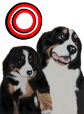 BERNESE MOUNTAIN DOG RIN Ver.3 sticker #7203772