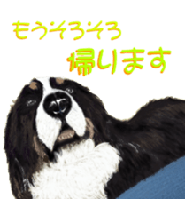 BERNESE MOUNTAIN DOG RIN Ver.3 sticker #7203773