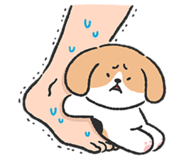 Beagle&Pomeranian sticker #7205428