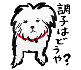 A dog, sometimes, fish sticker #7208737