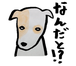 A dog, sometimes, fish sticker #7208745