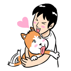 Sashimi siberian husky dog