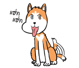 Sashimi siberian husky dog sticker #7211526