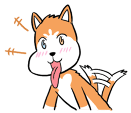 Sashimi siberian husky dog sticker #7211528