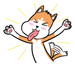 Sashimi siberian husky dog sticker #7211530