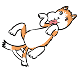 Sashimi siberian husky dog sticker #7211531