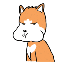 Sashimi siberian husky dog sticker #7211533