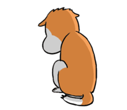 Sashimi siberian husky dog sticker #7211541