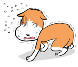 Sashimi siberian husky dog sticker #7211542