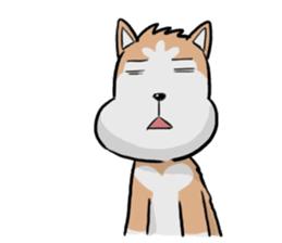 Sashimi siberian husky dog sticker #7211543