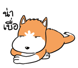 Sashimi siberian husky dog sticker #7211545