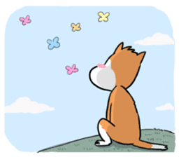 Sashimi siberian husky dog sticker #7211546