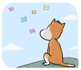 Sashimi siberian husky dog sticker #7211546