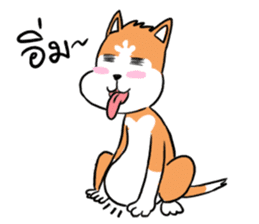 Sashimi siberian husky dog sticker #7211548