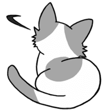 Black-and-white-Cat sticker #7214187