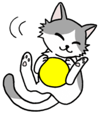 Black-and-white-Cat sticker #7214199