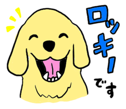 Golden retrieber, Rockey!! sticker #7215243