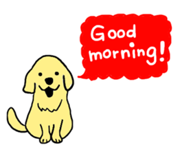 Golden retrieber, Rockey!! sticker #7215244