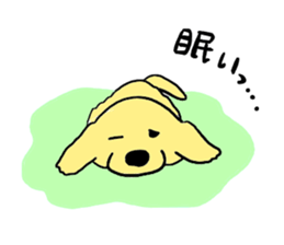 Golden retrieber, Rockey!! sticker #7215247